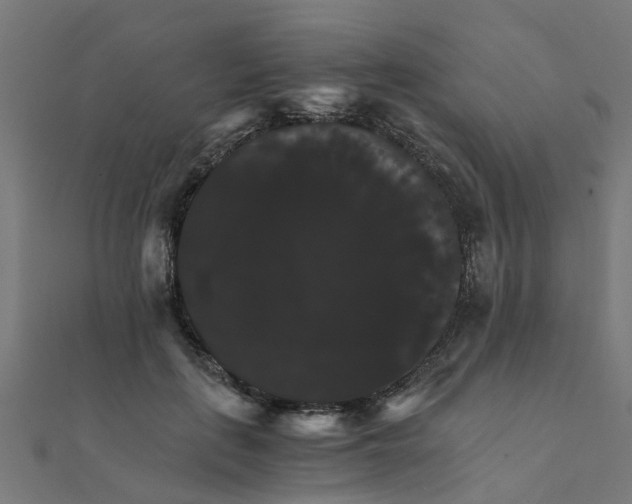 X0000111230651200907301247