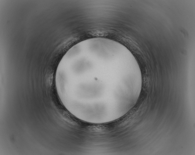 X0000111230652200907301247