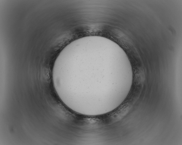 X0000111230654200907301247