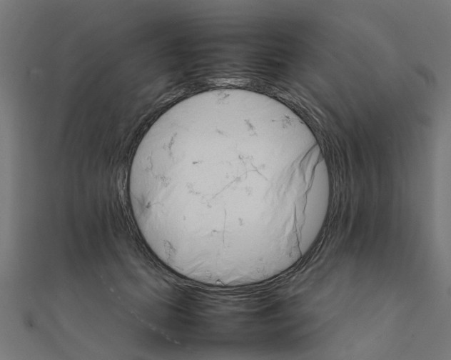 X0000111230655200907301247