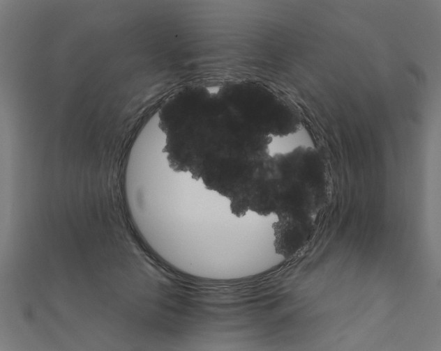 X0000111230658200907301247