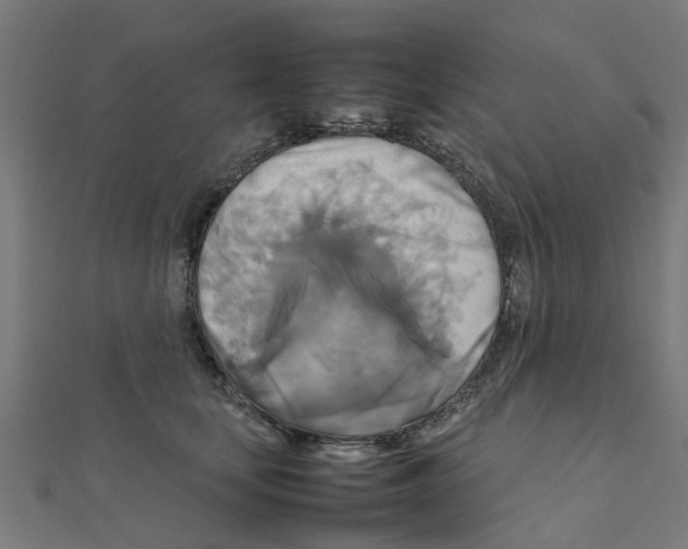 X0000111230659200907301247