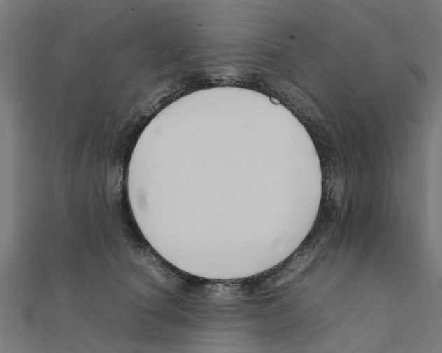 X0000111230660200907301247