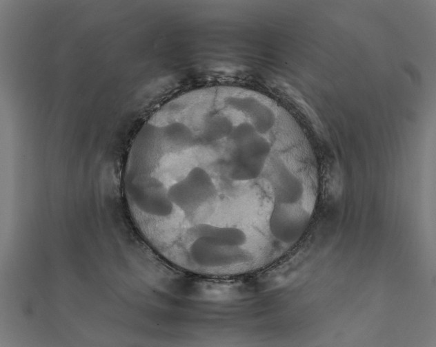 X0000111230661200907301247