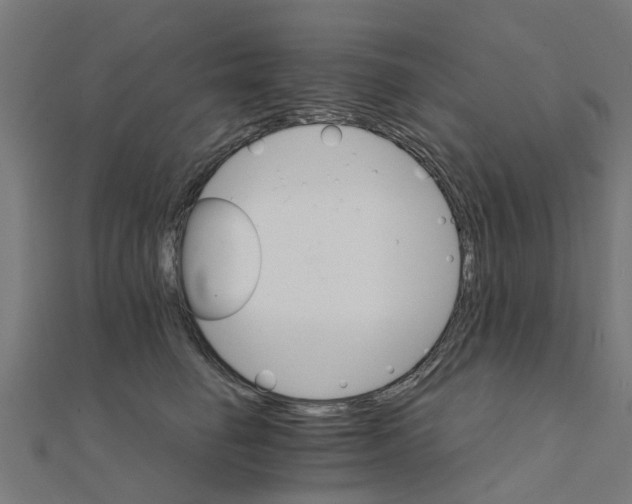 X0000111230662200907301247