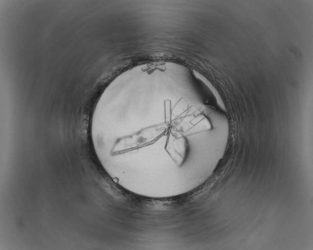 X0000111230664200907301247