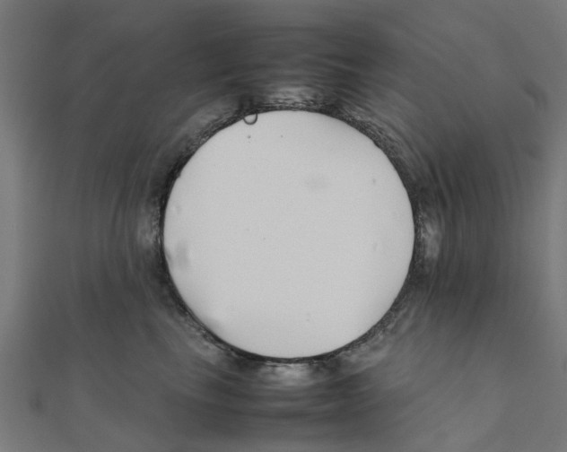 X0000111230665200907301247