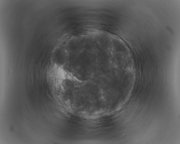 X0000111230667200907301247