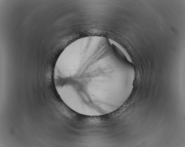 X0000111230668200907301247