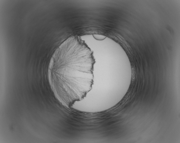 X0000111230669200907301247