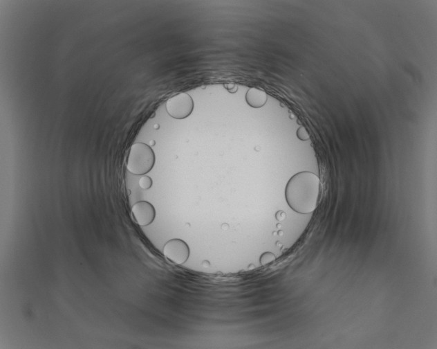 X0000111230670200907301247