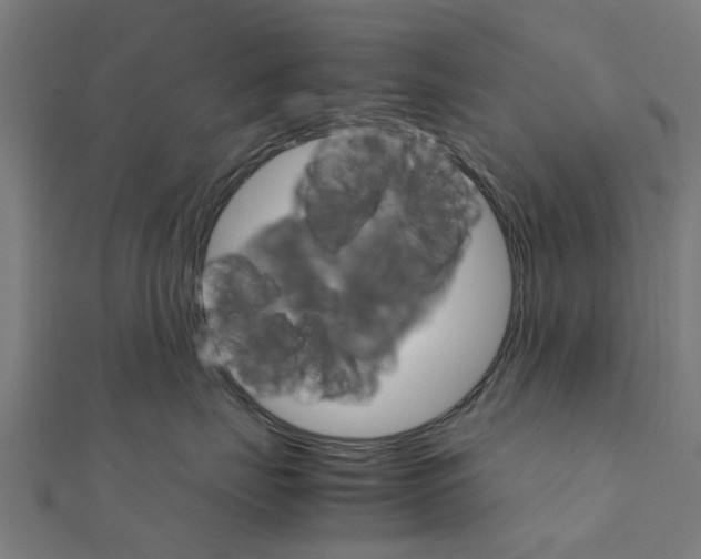 X0000111230671200907301247