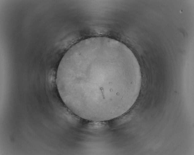 X0000111230672200907301247