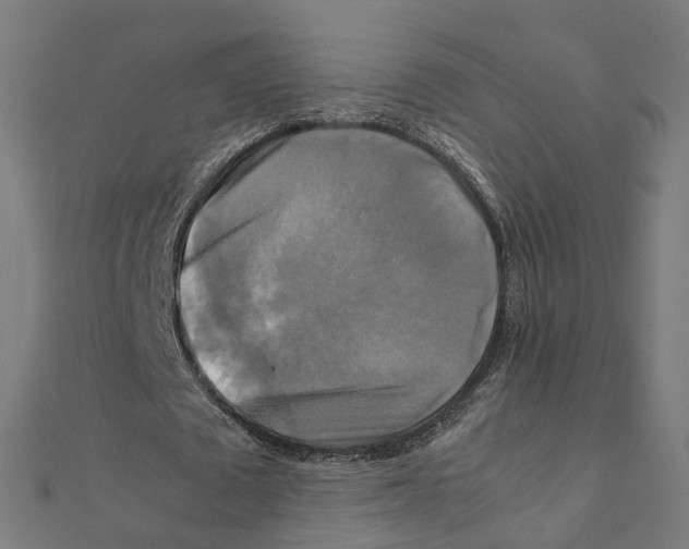 X0000111230673200907301246