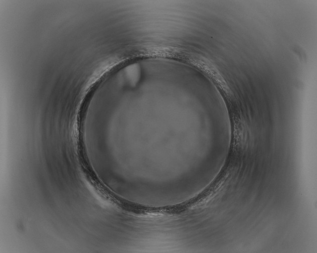 X0000111230674200907301246
