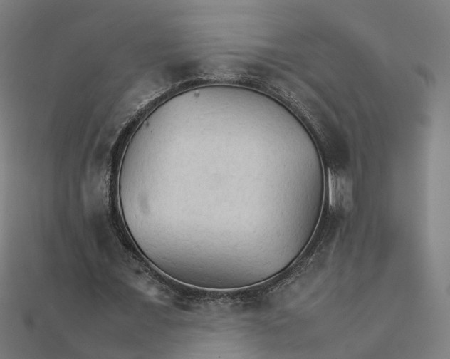 X0000111230675200907301246