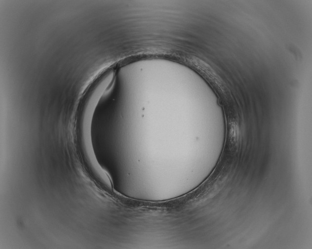 X0000111230676200907301246