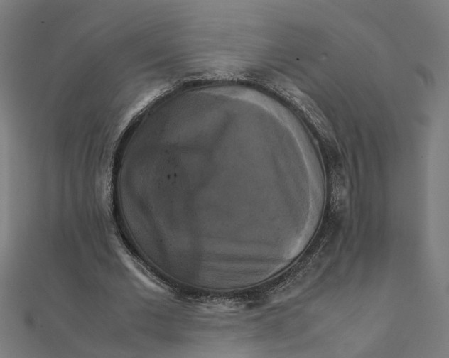 X0000111230677200907301246