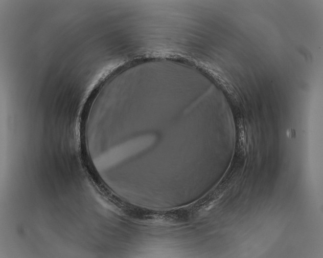 X0000111230678200907301246