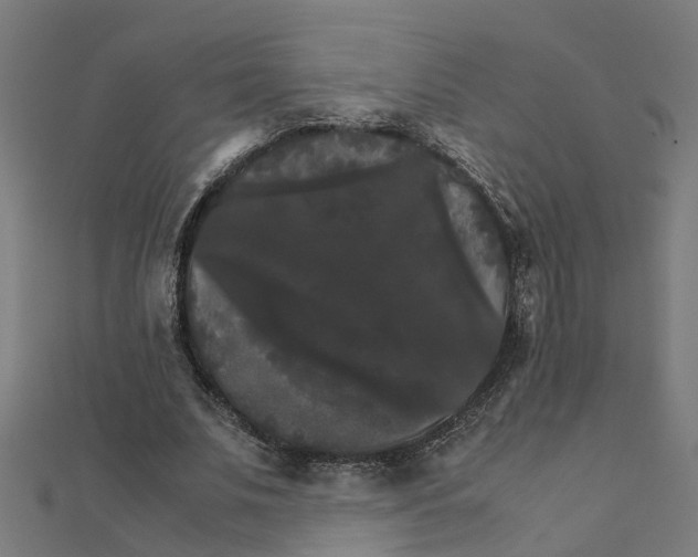 X0000111230679200907301246
