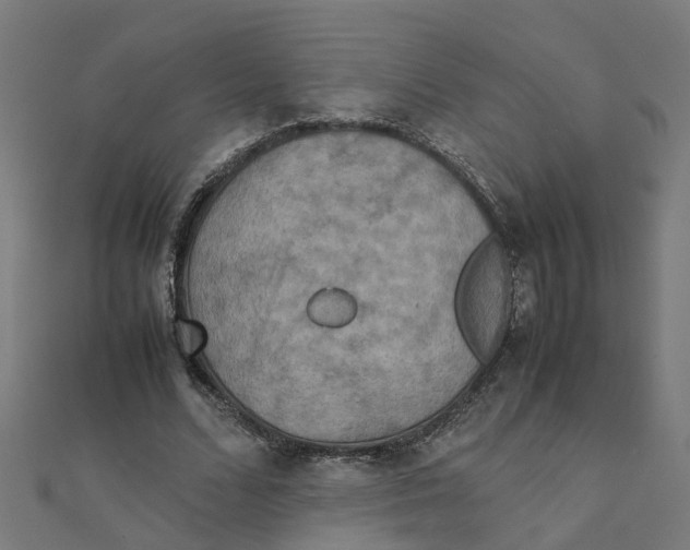 X0000111230680200907301246
