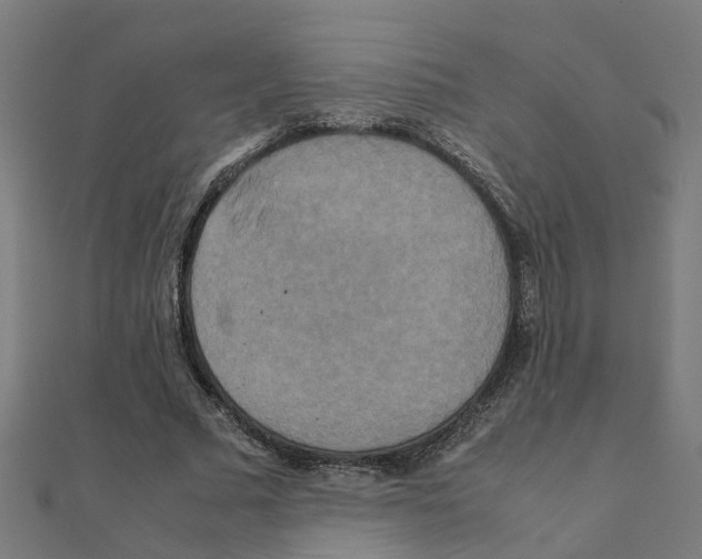 X0000111230681200907301246