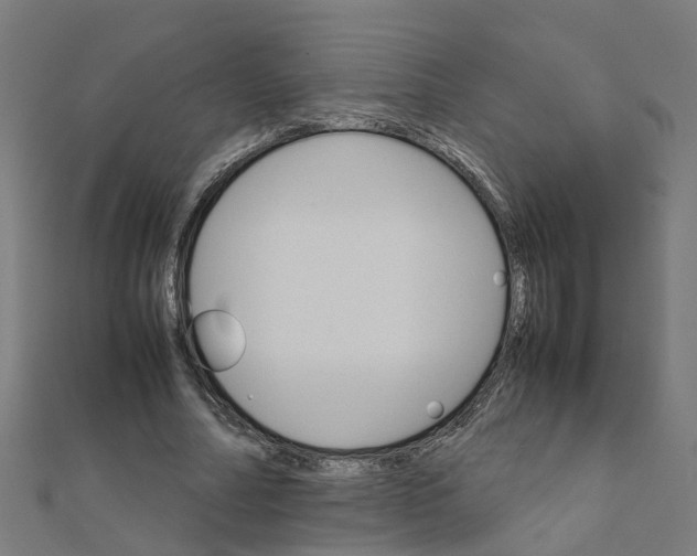 X0000111230682200907301246