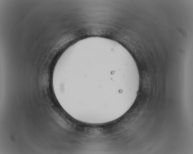 X0000111230683200907301246
