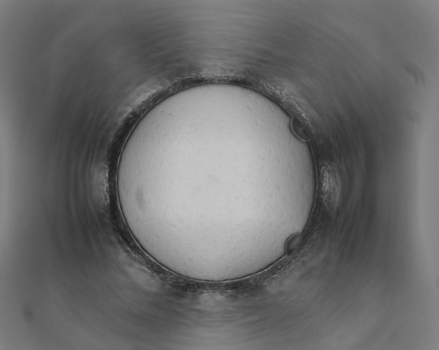 X0000111230684200907301246
