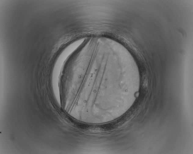 X0000111230685200907301246
