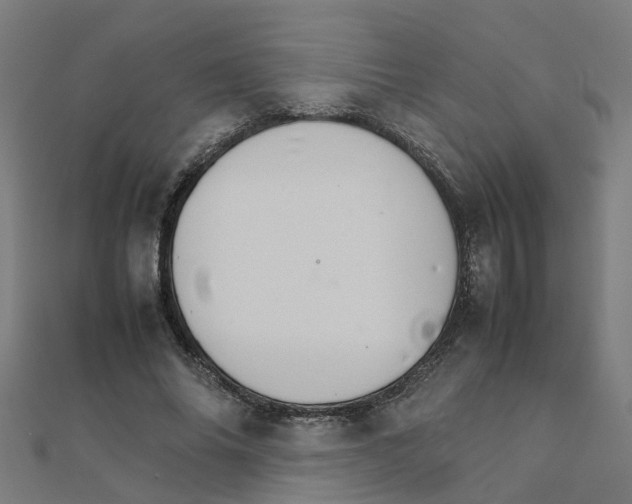 X0000111230686200907301246