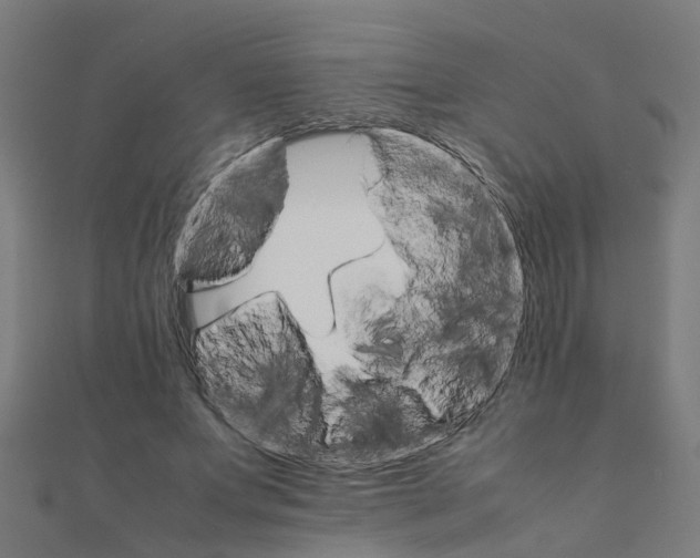 X0000111230687200907301246