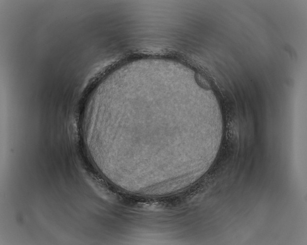 X0000111230688200907301246