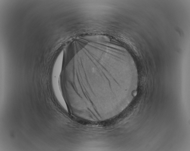 X0000111230689200907301246