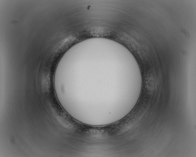 X0000111230690200907301246