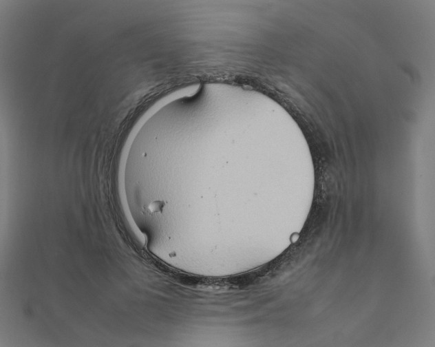 X0000111230693200907301246