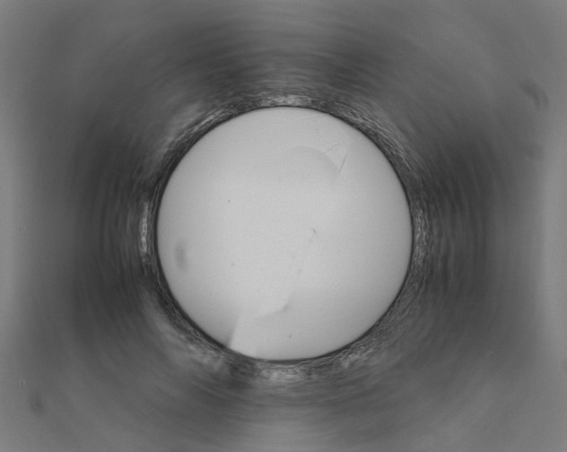 X0000111230694200907301246