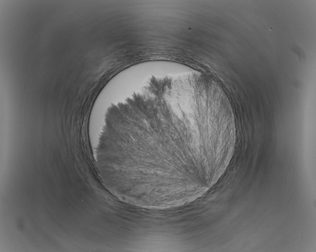 X0000111230695200907301246