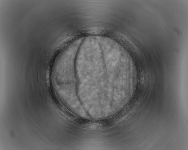 X0000111230696200907301246
