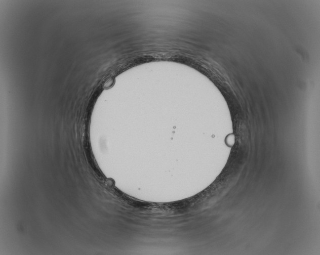 X0000111230697200907301246