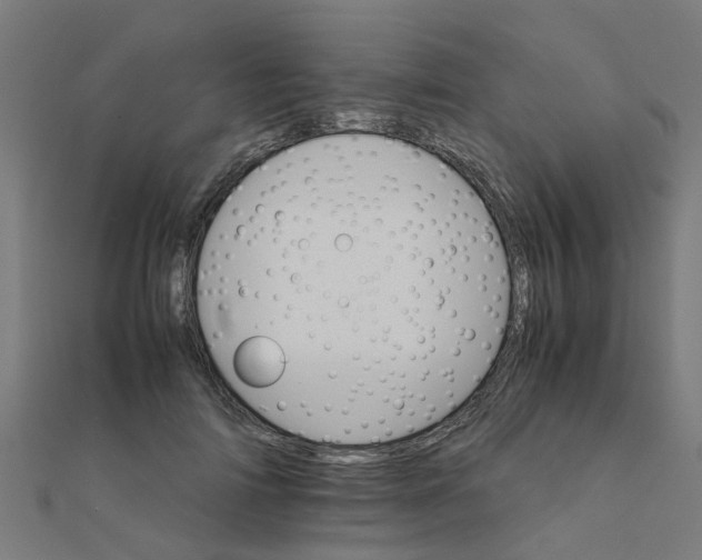 X0000111230698200907301246