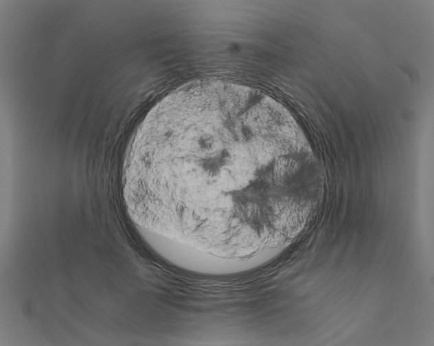 X0000111230699200907301246