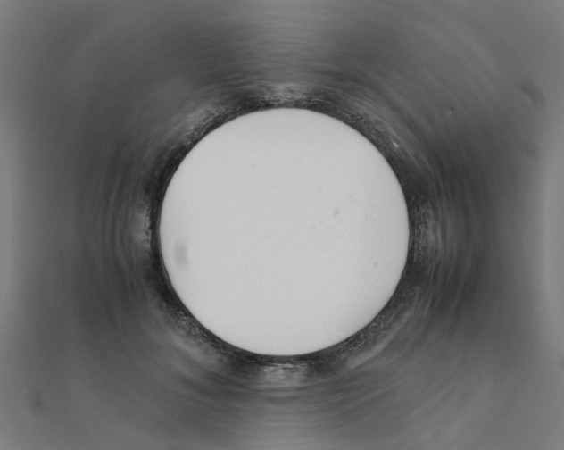 X0000111230700200907301246