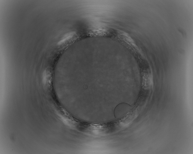 X0000111230701200907301246