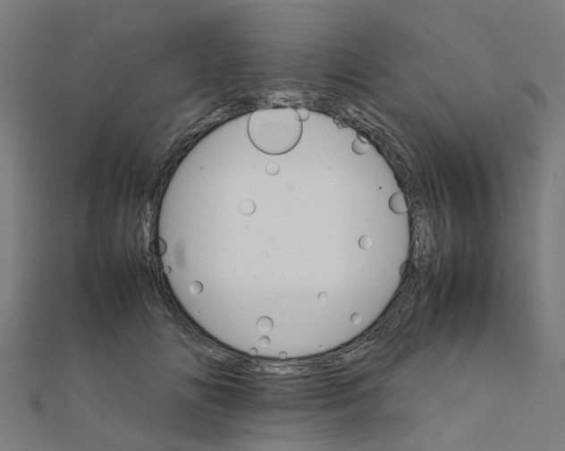X0000111230702200907301246