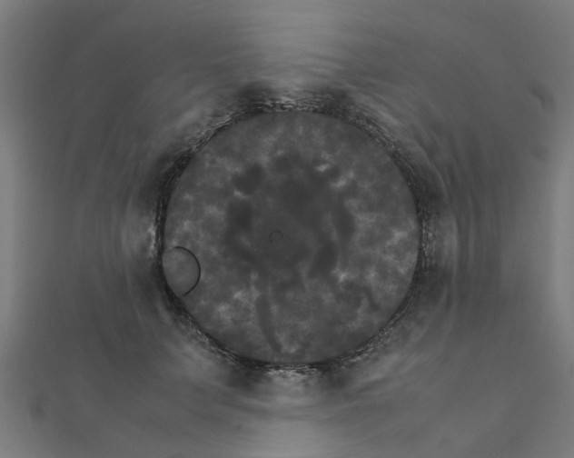 X0000111230703200907301246