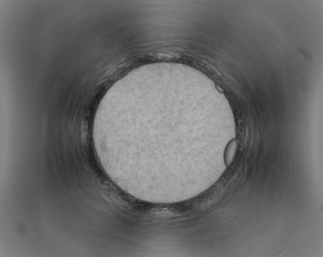 X0000111230704200907301246