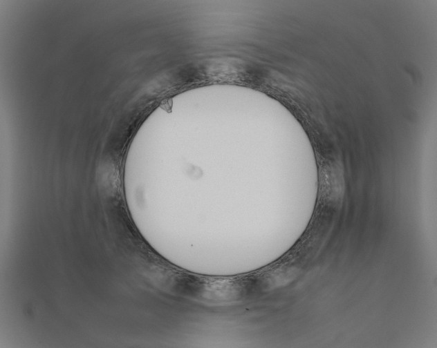 X0000111230705200907301246