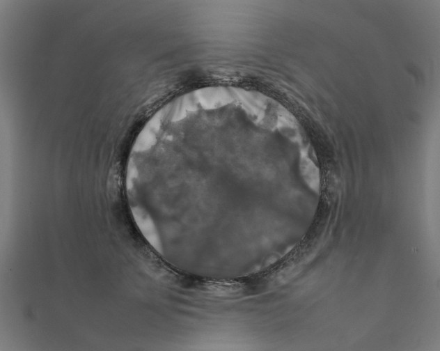 X0000111230707200907301246