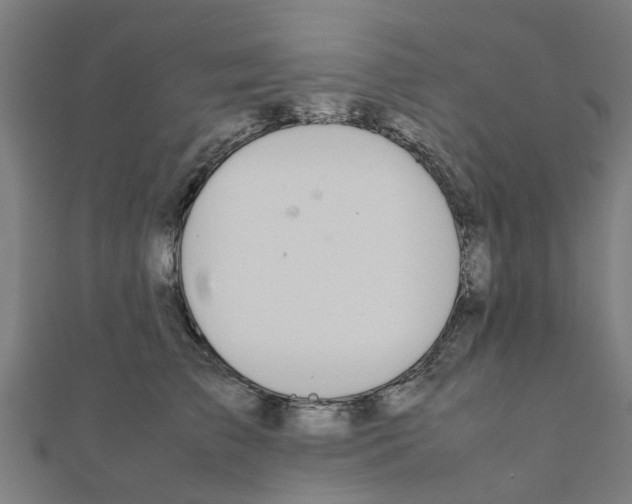 X0000111230709200907301246